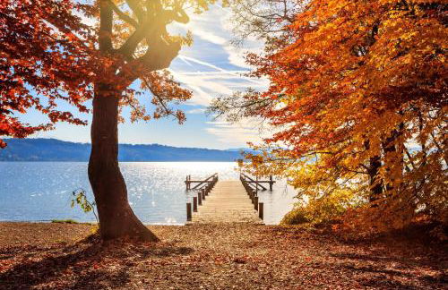 Ferienhaus Schreieck - Foto 19