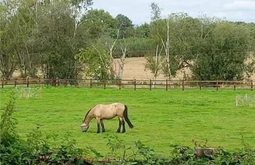 Lavender Cottage - Foto 38