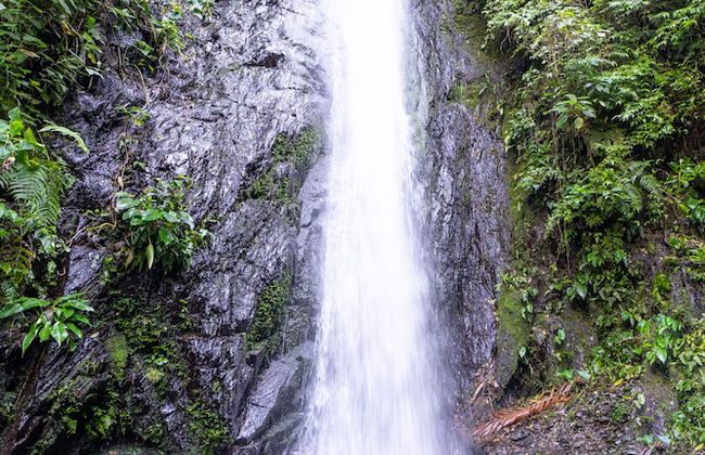 Casa de campo Los Yungas - Photo 40