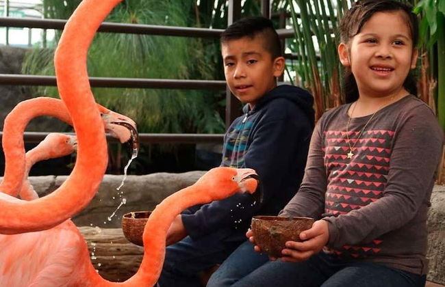 Billet pour l'aquarium Michin Puebla - Photo 2