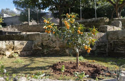 Casa Vacanza Lu Mare Puglia On line - Foto 8