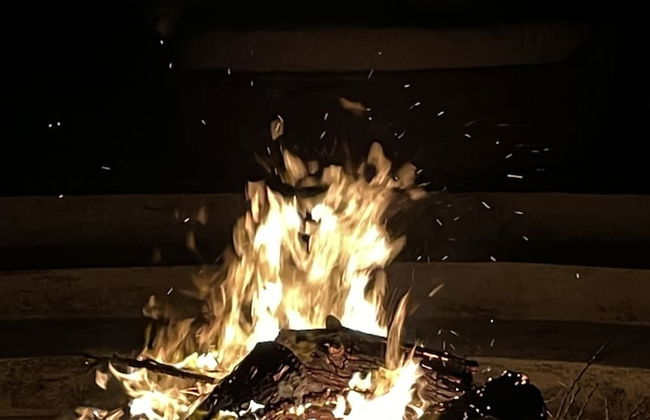 La Picarona - Foto 36