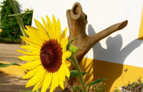 Ninho Da Poupa - Foto 20