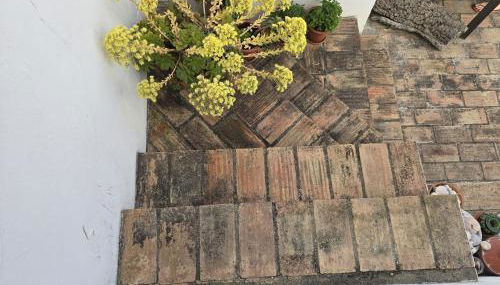 Paraíso Escondido - Foto 5