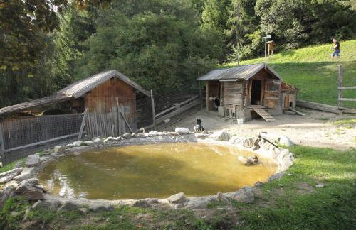 Gspoi-Hof - Photo 26