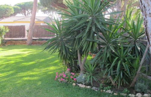 Villa Alegría - Foto 64