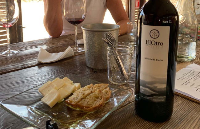 Guadalupe Valley Vineyards Bike Tour - Photo 8