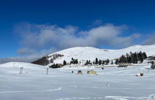 La casa nel bosco-Val Granara guesthouse - Foto 49