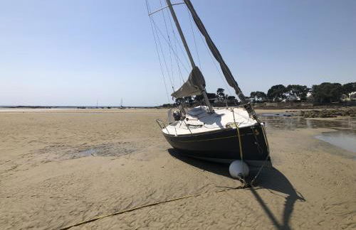 MOUETTES 3 - Balcon, Vue Mer, Men Du - T356 - Foto 20