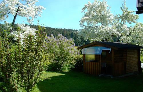 Haus Ingrid - Foto 6