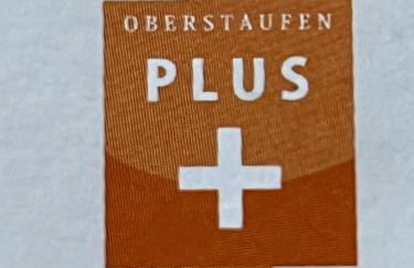 Kuschelnest im Chalet Chic, Inkl Oberstaufen Plus Card-SKIPASS - Foto 19