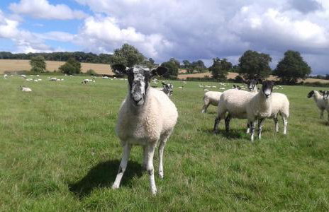 Oak & Hazel, Heath Row Barn - Foto 24