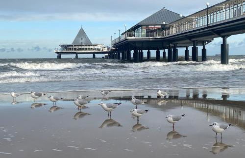 Min Droom Usedom - Foto 28