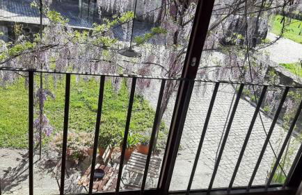 Charming House in Covelas with Shared Pool - Foto 14