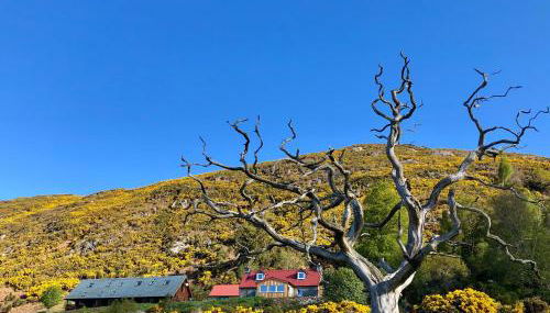 Nan's Cottage - Photo 3