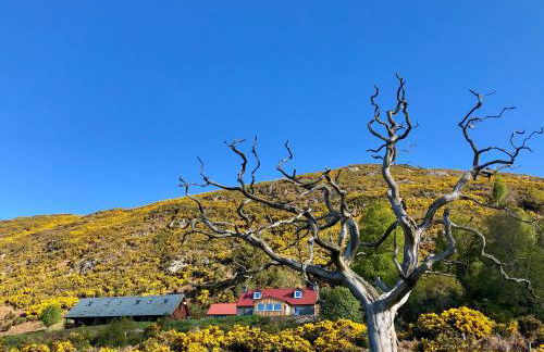 Nan's Cottage - Foto 3