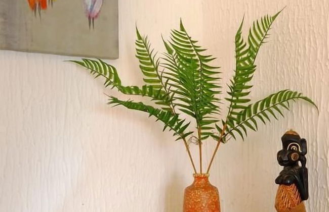 Apartment Alexandria - Foto 17