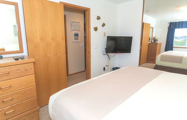 The Grey Gull - Foto 78