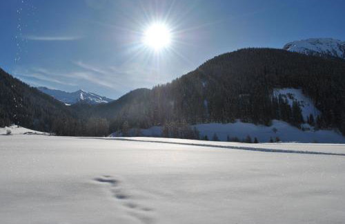 Residence Alpina - Foto 42