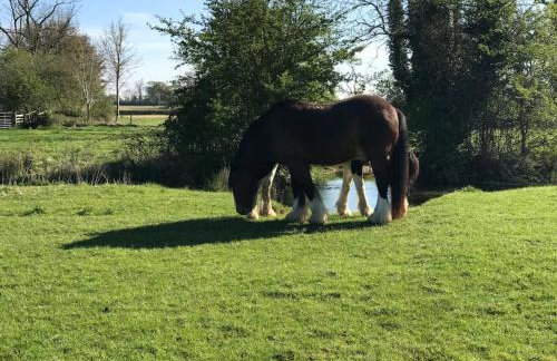 Thames Cottage, Old Mill Farm, Cotswold Water Park - Foto 26