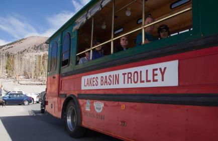 Village Treehouse #2 - Foto 53