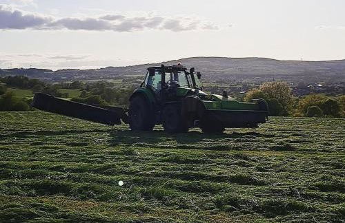 Ferienhof Wahls - Foto 27