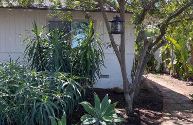 Avocado House - Foto 25