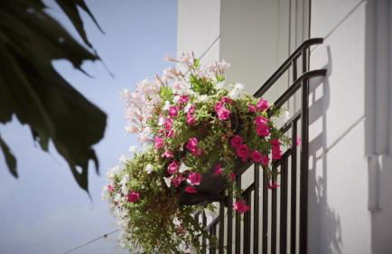 Montmartre Residence - Foto 102