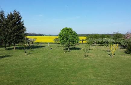 Landferienhof "Müritzufer" - Foto 6