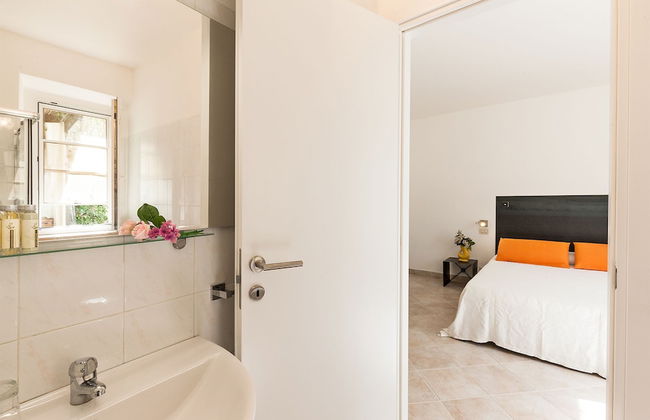 Artemisia negli ulivi B&B - Photo 16