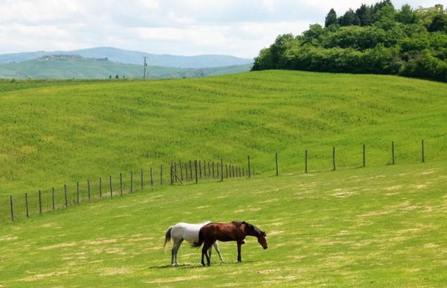 Spacious Tuscan Farmhouse - Foto 40