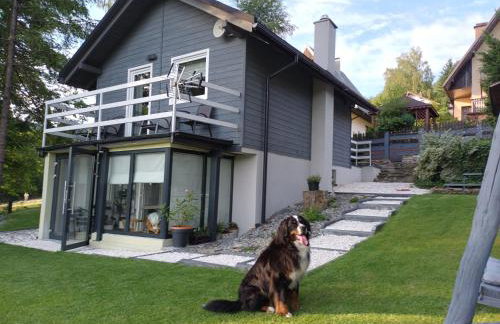 DOMeK NINA - Foto 27