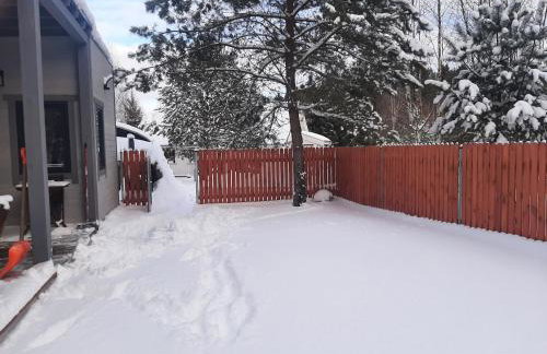 sosnowelowe - Foto 31