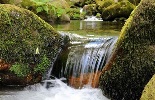 Casa do Vale de Cerdeiras - Foto 44