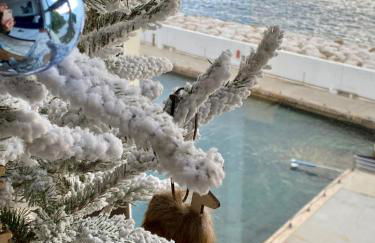 Au 526 sur mer - Foto 15