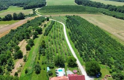 Kuca za odmor Sljivik Stari by Villas Guide - Photo 10