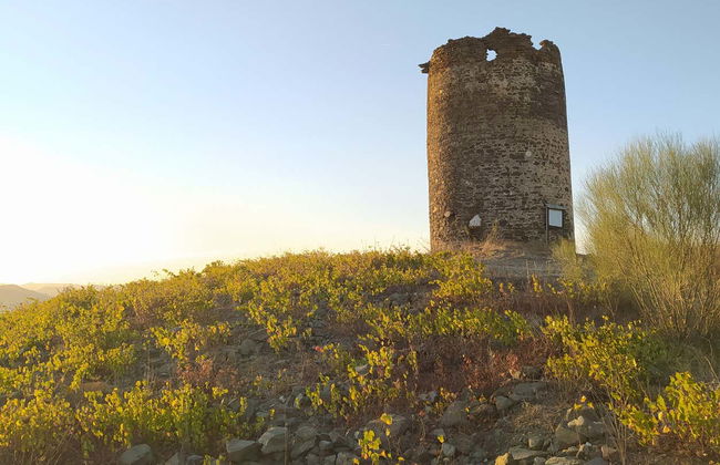 Pueblos blancos de la Axarquía, Estupa Budista y Torre de la Atalaya - Foto 2