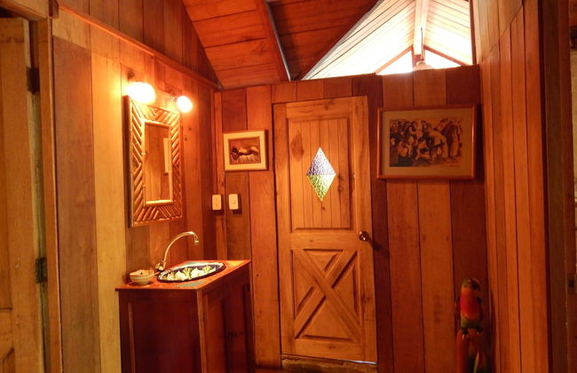 Dogs and Fish Dream Land - Foto 26