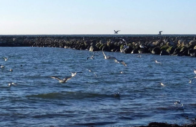 12 Person Holiday Home in Rodby - Foto 33