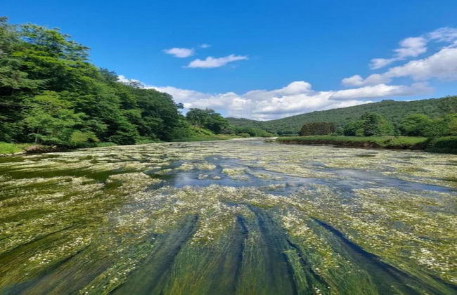 Capacious Holiday Home in Membre With Garden - Foto 60