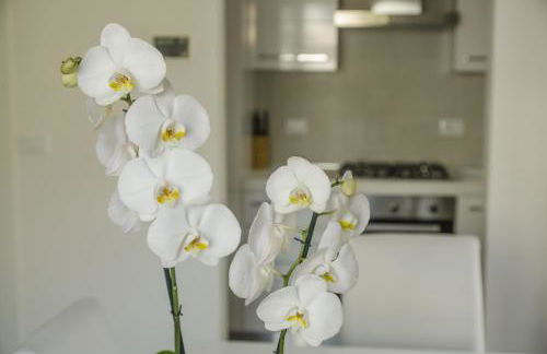 Appartamenti Federica - Foto 52