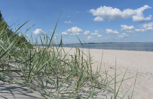 Barendorf Whg Meyer1 - Photo 15