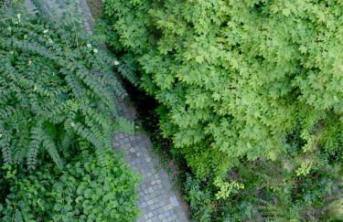 Donau Lodge Boardinghouse - Foto 4