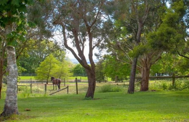 Lakes And Craters Holiday Park - Foto 17