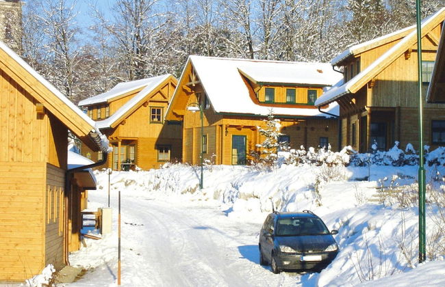 Chalet in Schlierbach Near Ski Trails - Foto 24