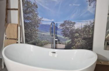 El Pitijopo - Foto 3