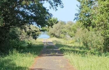 Grande maison entre Lac et forêt - Foto 46