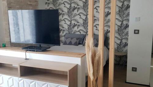 Studio Standing et calme absolu - Foto 4