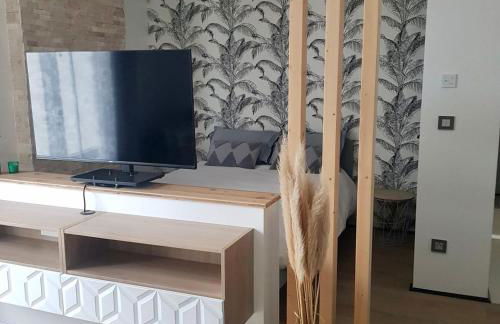 Studio Standing et calme absolu - Foto 4