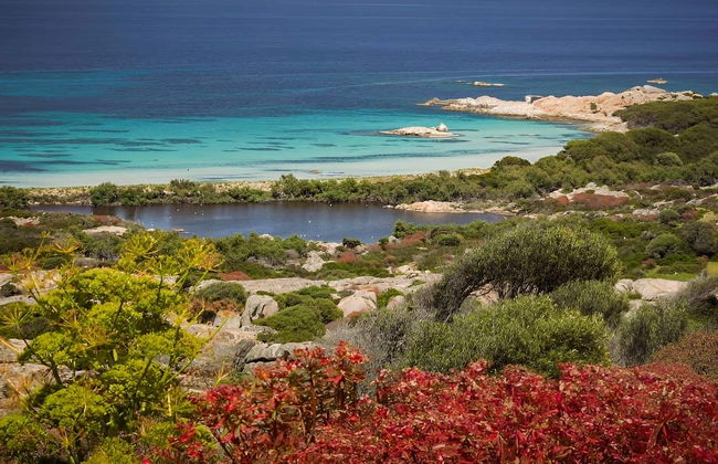 Asinara National Park Day Trip - Photo 9
